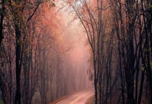 华帝空气能热水器24小时紧急维修教大家￥康宝家用消毒柜灯管更换指南	